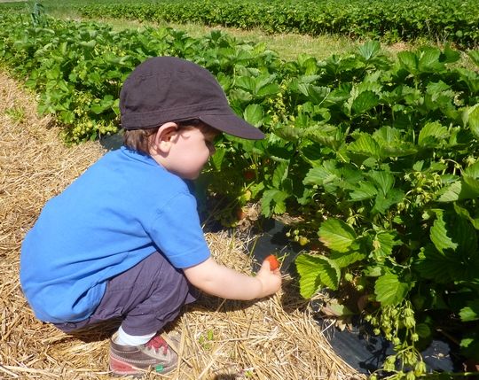 Puis-je venir avec mes enfants?